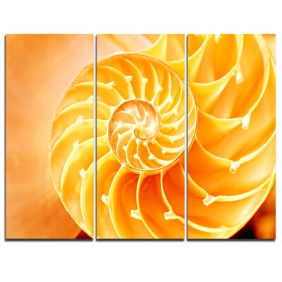 Yellow Nautilus Shell - 3 Piece Graphic Art on Wrapped Canvas Set -  Design Art, PT9237-3P
