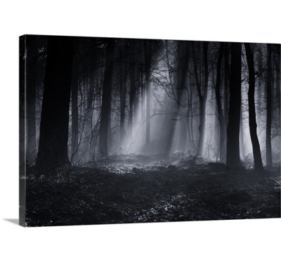1x Julien Oncete - Wrapped Canvas Photograph