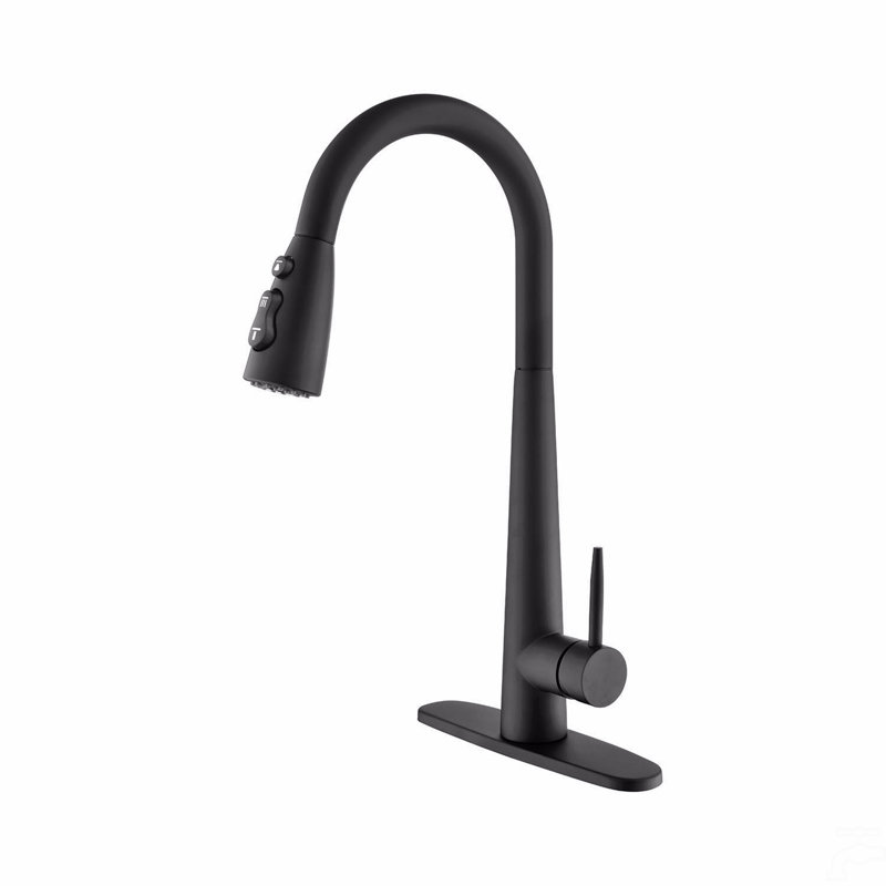 Robinet d'évier de cuisine à poignée simple en acier inoxydable avec douchette extractible, Noir mat