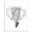 «Elephant in Black and White», reproduction d'art sur toile tendue-29496736