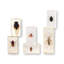 Entomology Busy Science, Specimens