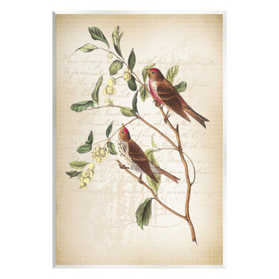 Birds with Vintage Cursive Wall Plaque Art by Lula Bijoux & co.