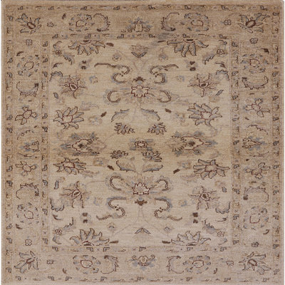 Skarp Oriental Indoor Rug
