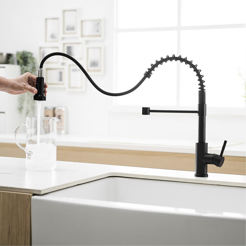 Robinet de cuisine contemporain en acier inoxydable noir avec douchette extractible et poignée de contrôle simple