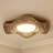 Sasheer LED Flush Mount