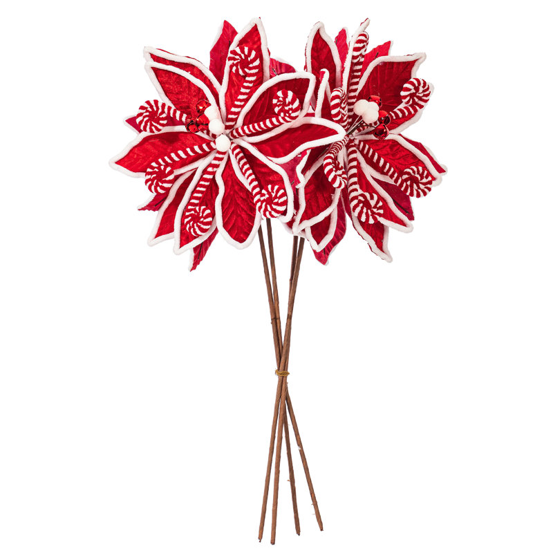 Tiges de poinsettia