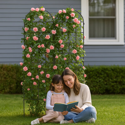 Treillis de jardin en métal, paquet de 2 treillis en métal pour plantes grimpantes, treillis pour plantes d'intérieur / extérieur pour plantes en pot, plantes d'intérieur, vignes grimpantes, fleurs et légumes, écran de décoration pour clôture de jardin