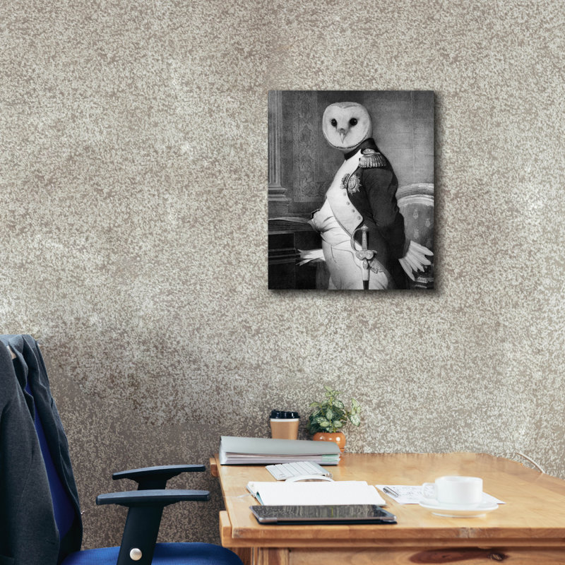  «Napoleon Owl» par John Hovenstine, art mural sur toile, 20 po x 24 po, H 24 po x l 20 po