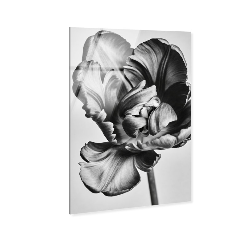 Graphite Flower Print by Oliver Gal, High-Gloss Acrylic Print, 10"H x 15"W