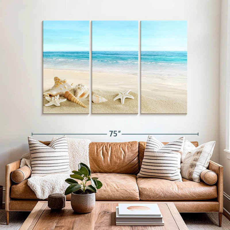 Coquillages de plage Aletra, H 42 po x l 65 po