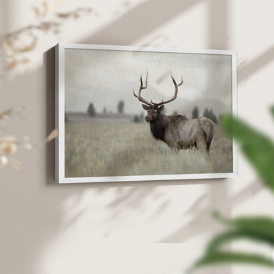 Grand Elk -Framed Print - Restickable