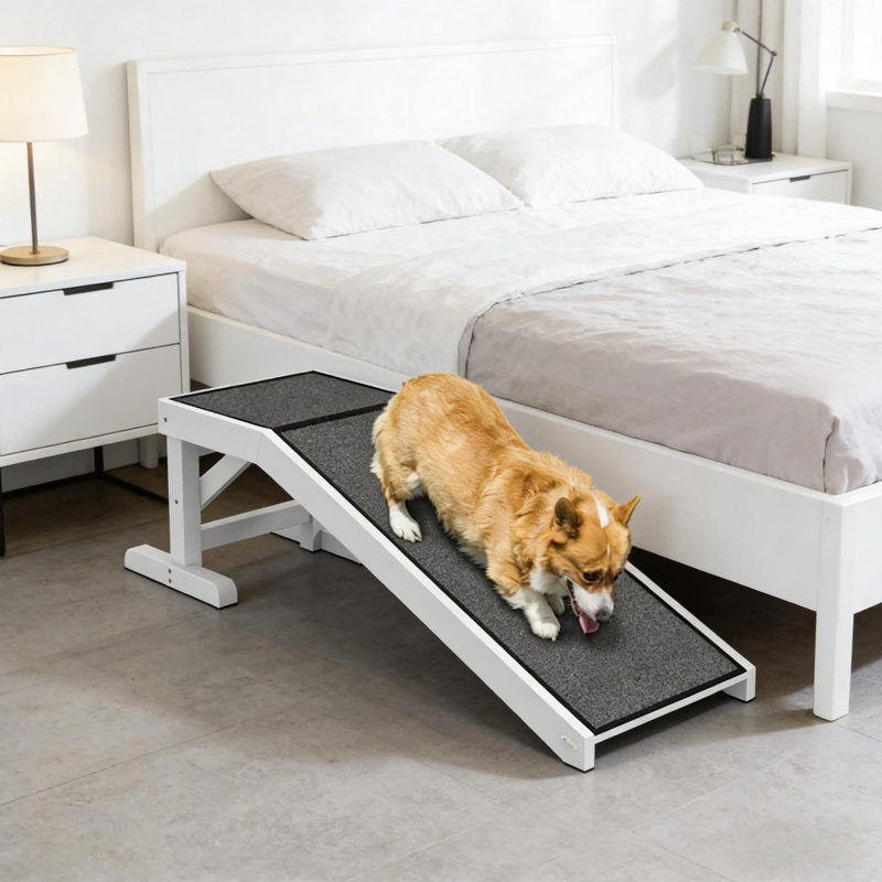 Rampe pour chien pratique et facile d'accès