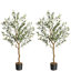 Plant-1153444753