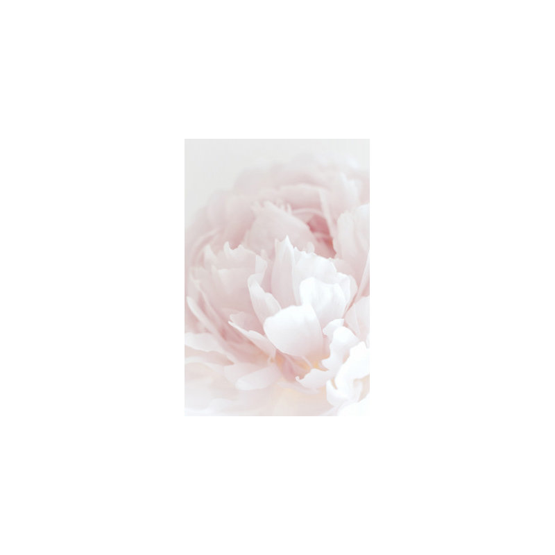 Wrapped Canvas Print, 60.96 cm H x 91.44 cm W