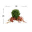 Outdoor Boxwood Topiary Drop-In with Ivy