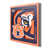 NCAA Auburn