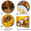 «Music Banjo Bliss Sunny Yellow I», ensemble de reproductions d'art mural musical-107758828-107758826