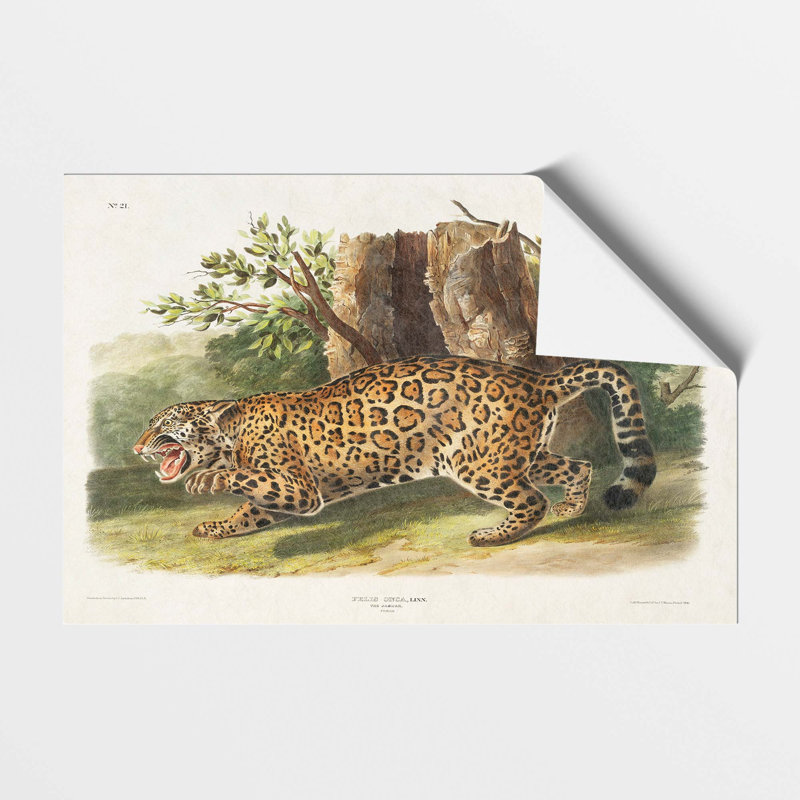 Jaguar by J.W. Audubon - No Frame Painting, 29.7 cm H x 42 cm W