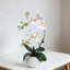 Orchidée artificielle Real Touch dans un vase en céramique - Arrangement floral artificiel réaliste