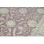 Ziegler Wool Oriental Area Rug