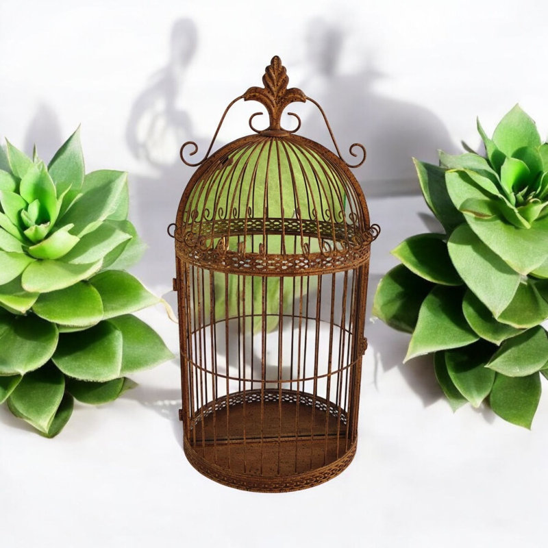 Rusty Bird Cage Garden Wall Mirror Antique Metal Indoor Outdoor Hanging Decorative Accent Decor, Gold