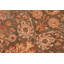 Tapis oriental rectangulaire en laine fabriqué à la main 6 pi 1 po x 8 pi 10 po Pannell