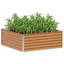 Raised Garden Bed-535497396