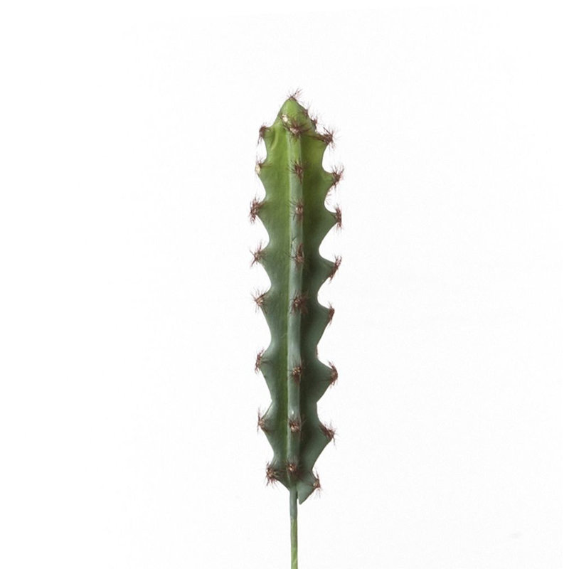 Tige de cactus, Vert