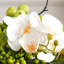 Ornements de fleurs simulées