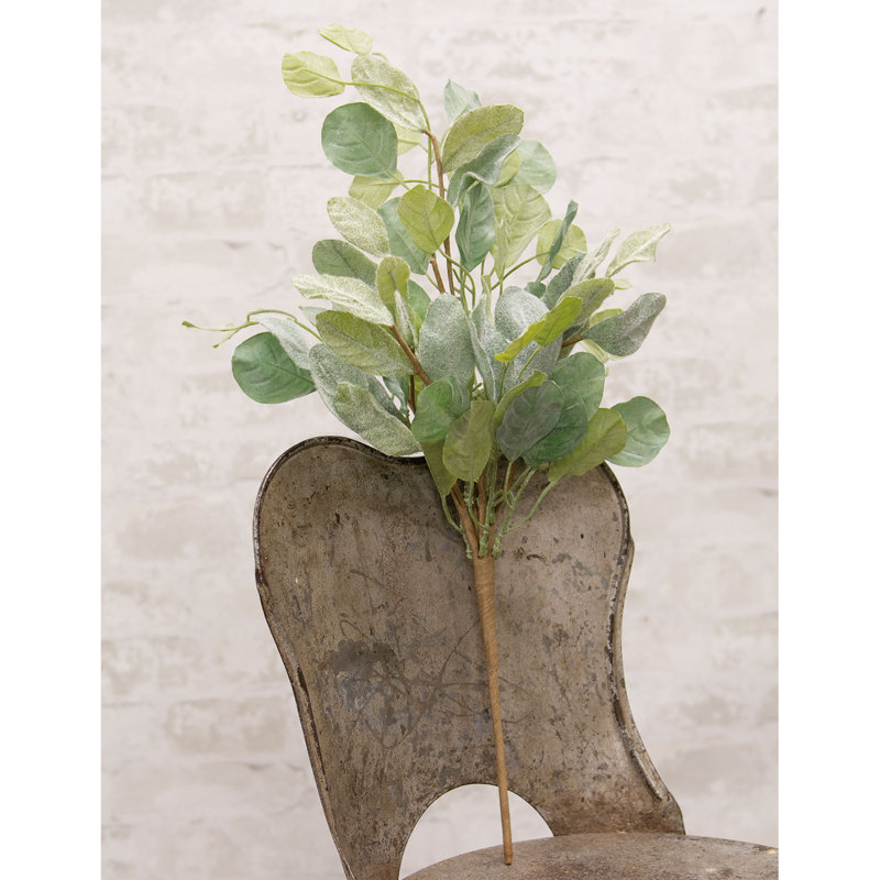 21 plantes