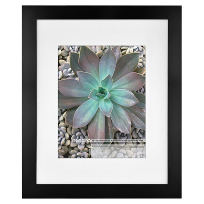 Matte Picture Frame with Mat