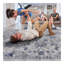 Tapis oriental bleu Collection-926461593
