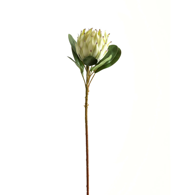 Arrangement, White, Brown