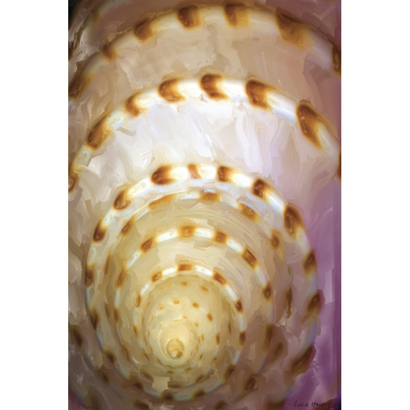 Shell Extraction I by Lola Henry - Wrapped Canvas Painting, 30cm H x 20cm W