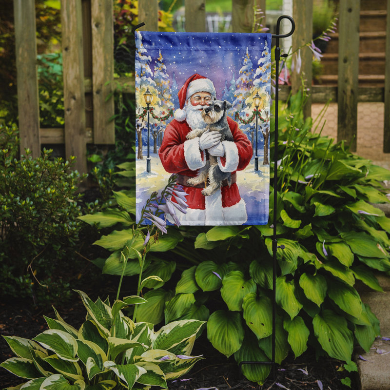 Schnauzer avec le drapeau du père Noël, Taille du jardin, Schnauzer