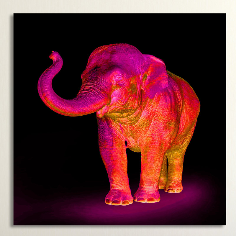 «Neon Elephant 1», impression sur toile, H 24 po x l 24 po x P 1,5 po, Toile tendue