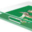 Zebra Seeing Double Kelly Acrylic Square Decorative Tray-1604350101