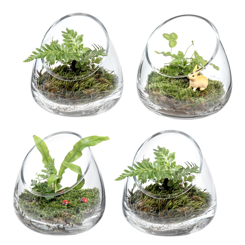 Glass Indoor Pot Planter