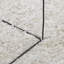 Tylor Shag Area Rug