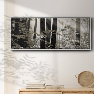 Misty Forest - toile encadrée