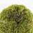 11'' Faux Moss Topiary