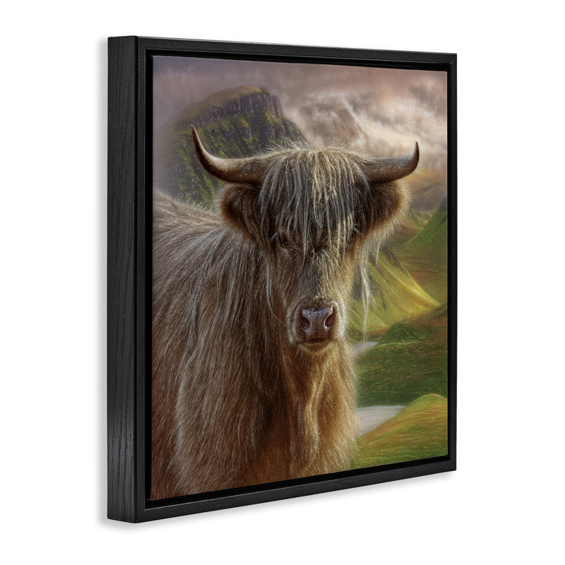 Cadre flottant Butterscotch Highland Cow, conception par Collin Bogle, Cadre flottant noir de jais, H 18 po x l 18 po