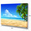 Coconut Palms Bent into Beach - Reproduction de photo sur toile tendue-18434886