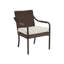 Kilimanjaro Patio Dining Armchair with Cushion