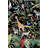 Black Themed Multicolored Tree Giraffe And Monkey Patterned Modern Decorative Carpet-322953209
