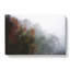 Mist Around The Forest - Wrapped Canvas-56638766