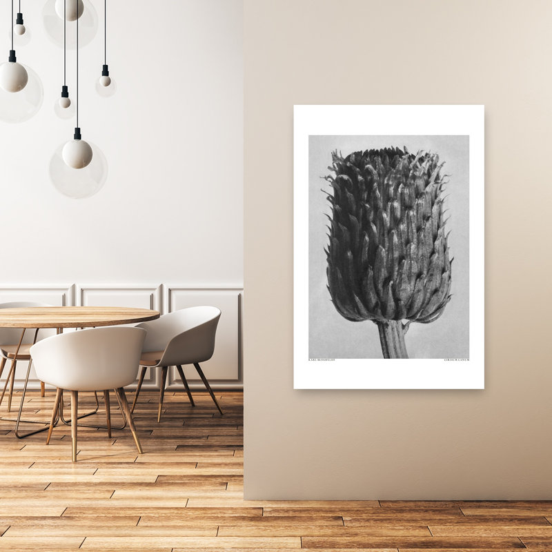 «Cirsium Canum», impression rétro de paysage floral rétro, 48" H x 32" W