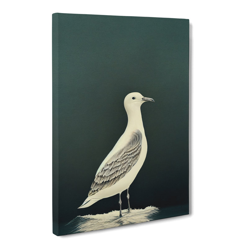 Seagull Portrait Vol.1 - Wrapped Canvas, 50cm H x 35cm W x 3cm D
