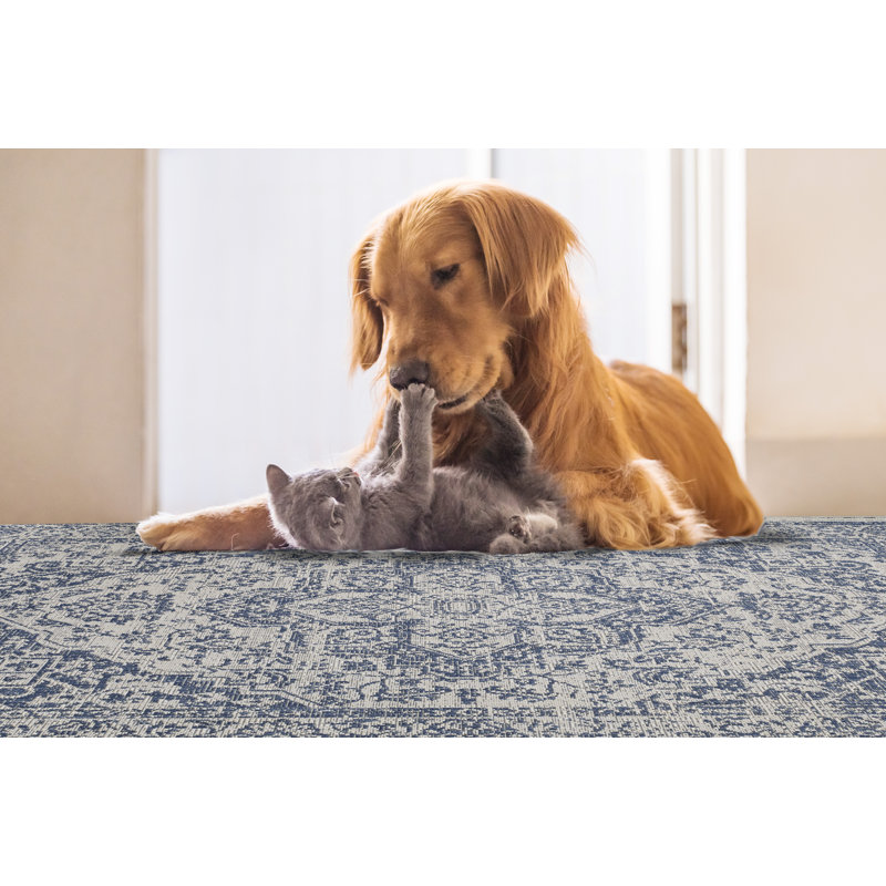 Tapis oriental bleu / gris en polypropylène tissé à la machine Rectangle, Rectangle 3 pi 11 po x 5 pi 6 po