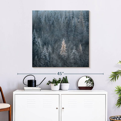 Alvord First Snow I